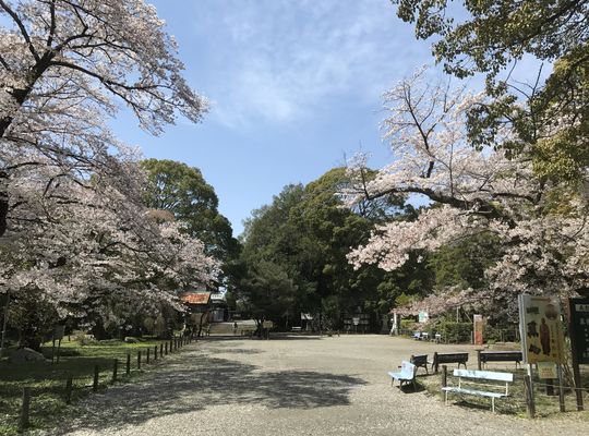 偕楽園